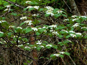 DSCN0751