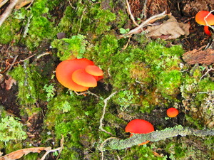 DSCN9461