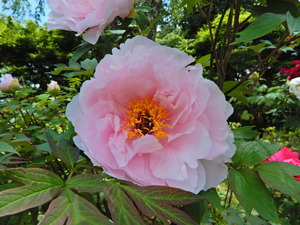 DSCN9341
