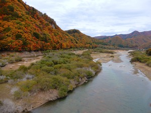 DSCN5568
