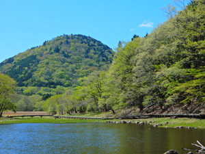 DSCN0394