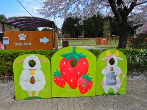 DSCN9939
