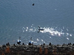 DSCN0083