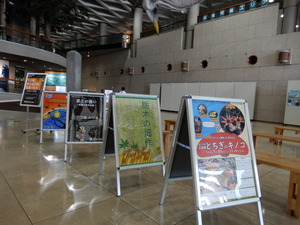 DSCN0624