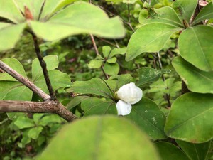 IMG_9351