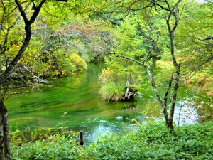 DSCN9934