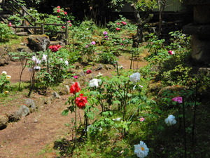 DSCN9312