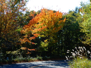 DSCN0002