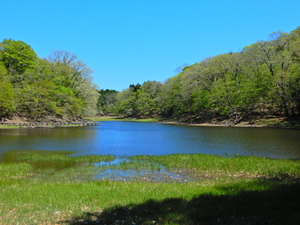 DSCN0367
