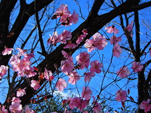 DSCN0028