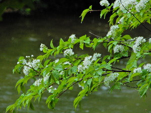 DSCN9560