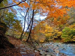 DSCN1449