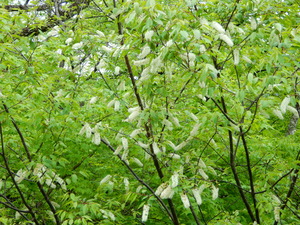 DSCN9743