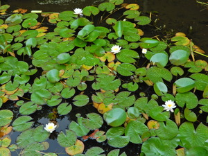 DSCN0110