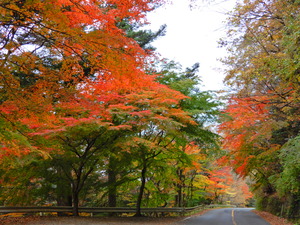 DSCN1091