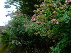 DSCN0722
