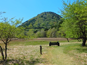 DSCN0405