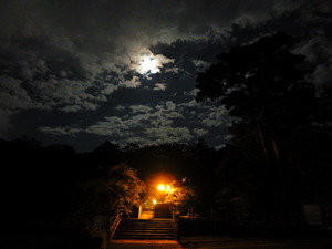 DSCN9871
