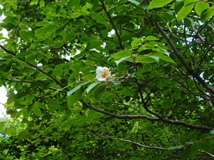 DSCN9835