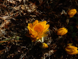 DSCN9639