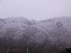 DSCN9496