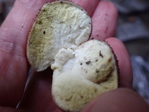 P9301377