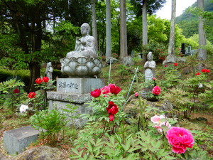DSCN9330