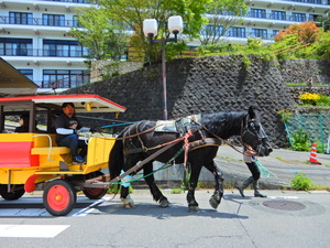DSCN9368