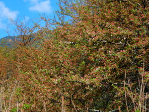 DSCN0838