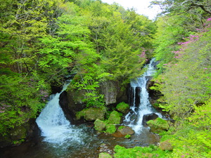 DSCN9752