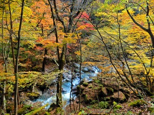 DSCN1459