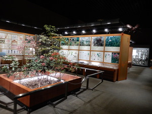 DSCN0608
