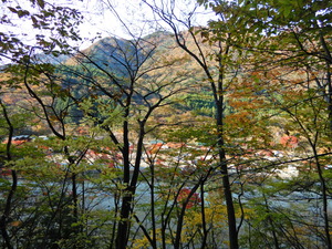 DSCN0313