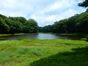 DSCN0640