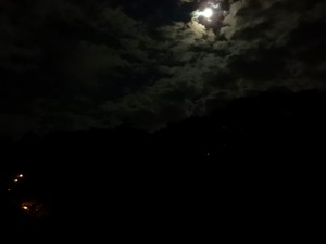 DSCN9906
