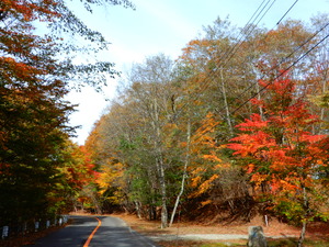DSCN9687
