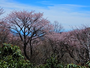 DSCN0122