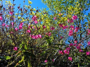 DSCN0370