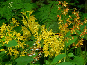 DSCN1062