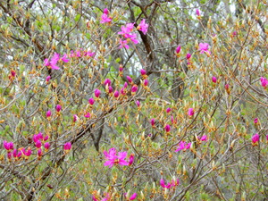 DSCN0637