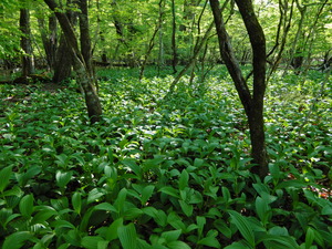 DSCN0434