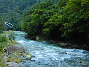 DSCN9456