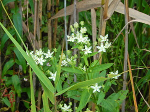 DSCN0994