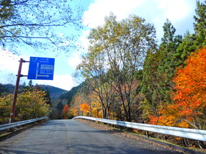DSCN1400