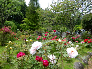 DSCN9359