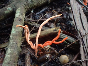 P9231051