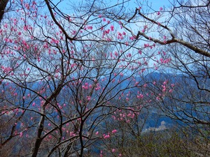 DSCN8429