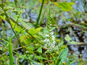 DSCN0072