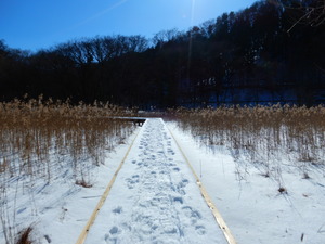 DSCN8651