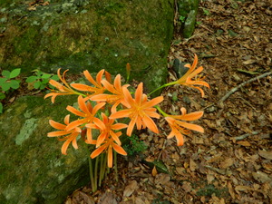 DSCN9830